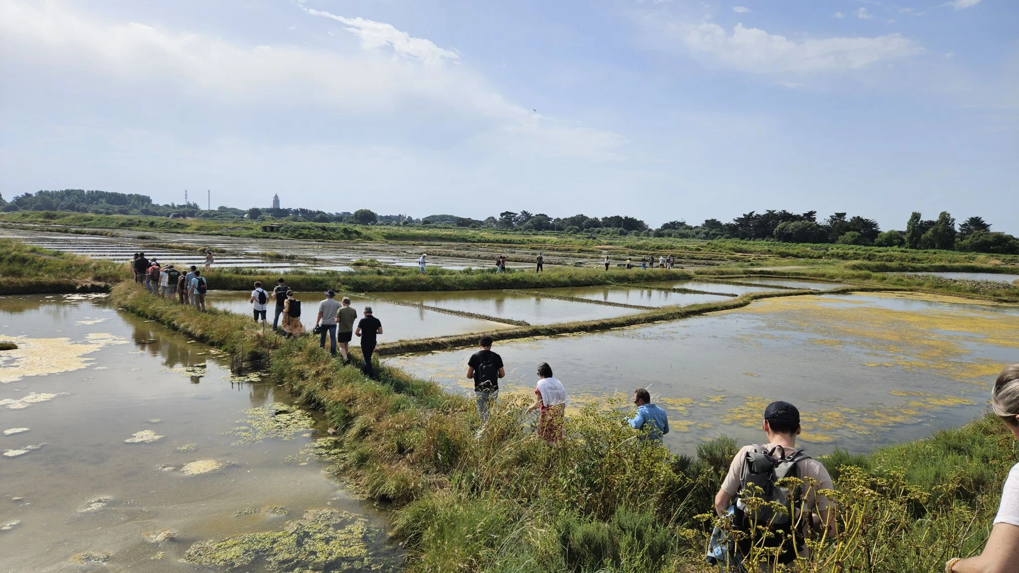 Visite commentée de la gestion des digues à l'étier de la Saline Neuve