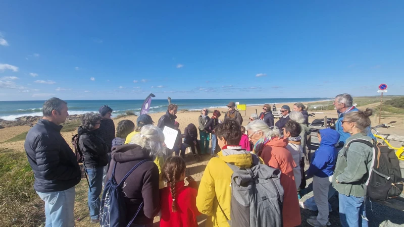 Balade à l'Anse de Chaillé